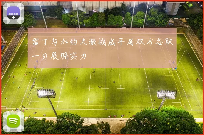 雷丁与加的夫激战成平局双方各取一分展现实力