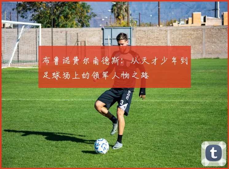 布鲁诺费尔南德斯：从天才少年到足球场上的领军人物之路