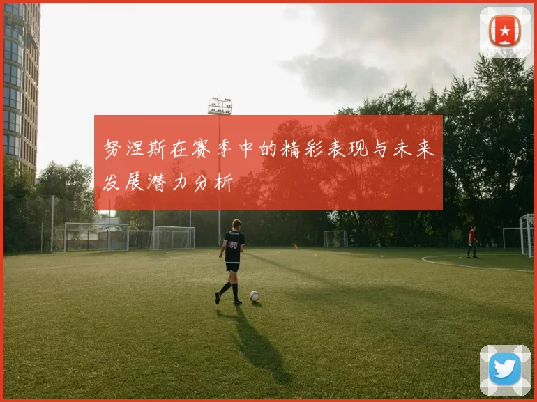 努涅斯在赛季中的精彩表现与未来发展潜力分析